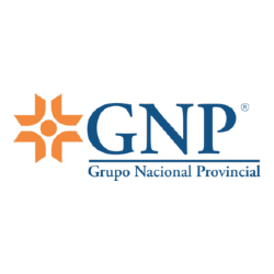 GNP
