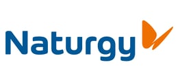 Naturgy