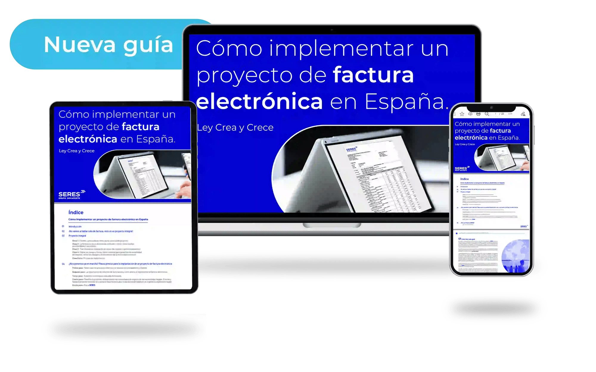Como implementar un proyecto de factura electronica en España