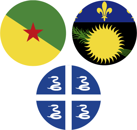 Bandera de Guayana Francesa, Guadalupe y Martinica